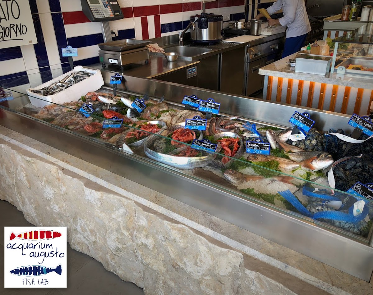 Acquarium Augusto Sushi Capri