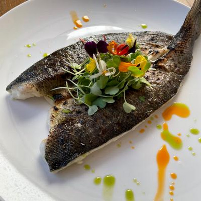 Mackerel