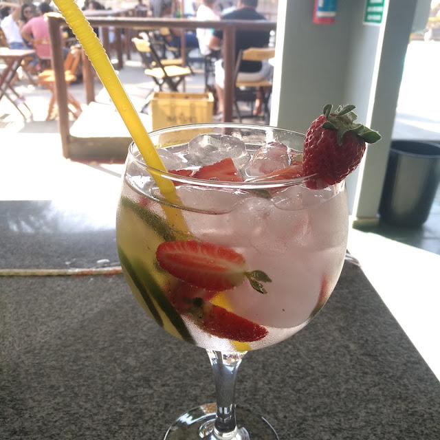 Gin Tônica Especial