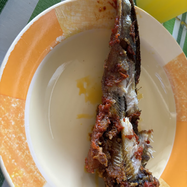 Fried Cat Fish with Chilly
