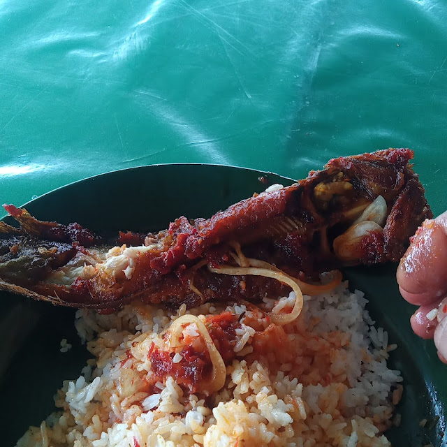 Ikan Keli