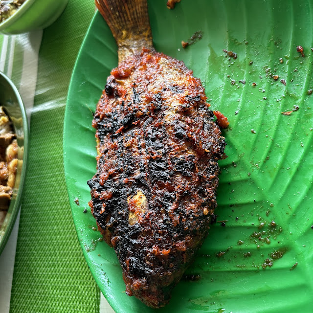 Grilled Tilapia Fish