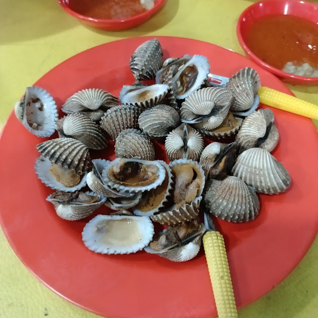 Kerang Dara Rebus