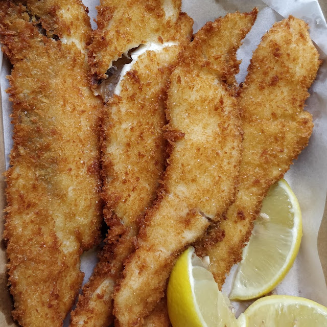 Snapper