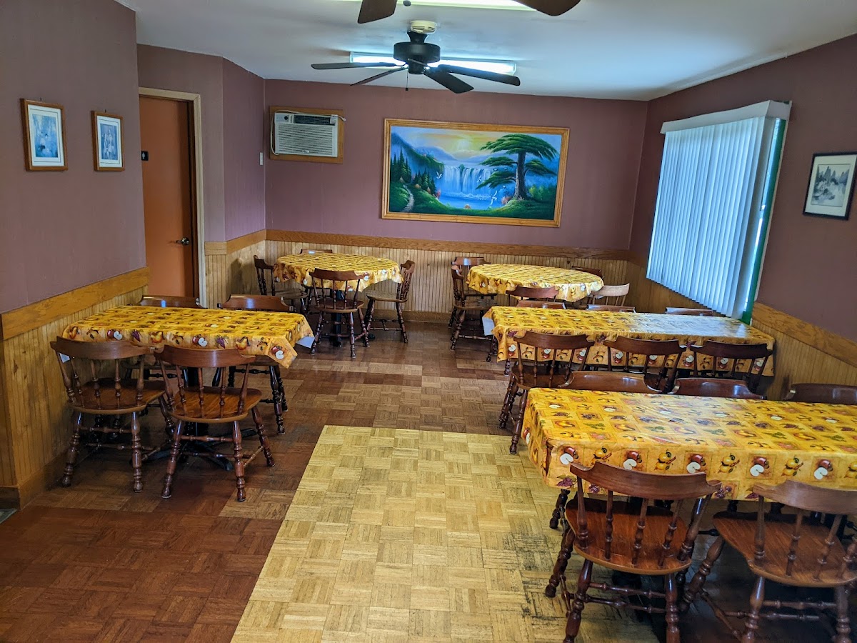 Bamboo - NY 13420