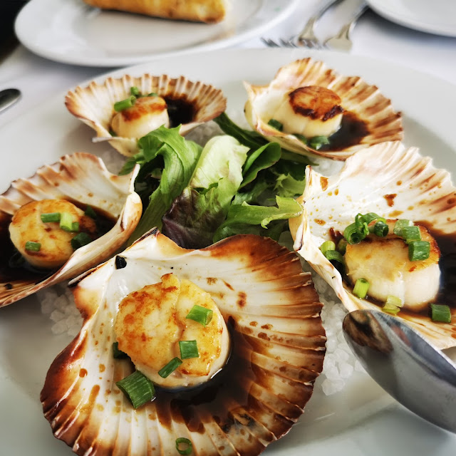 Eaten Scallop
