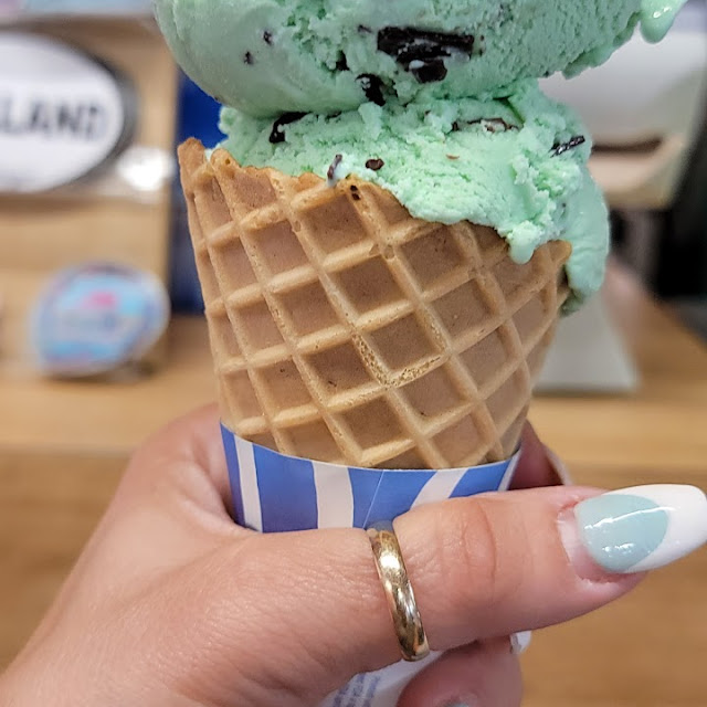 Mint Choc Chip Ice Cream