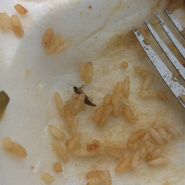 El Arroz