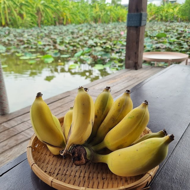 Free Banana