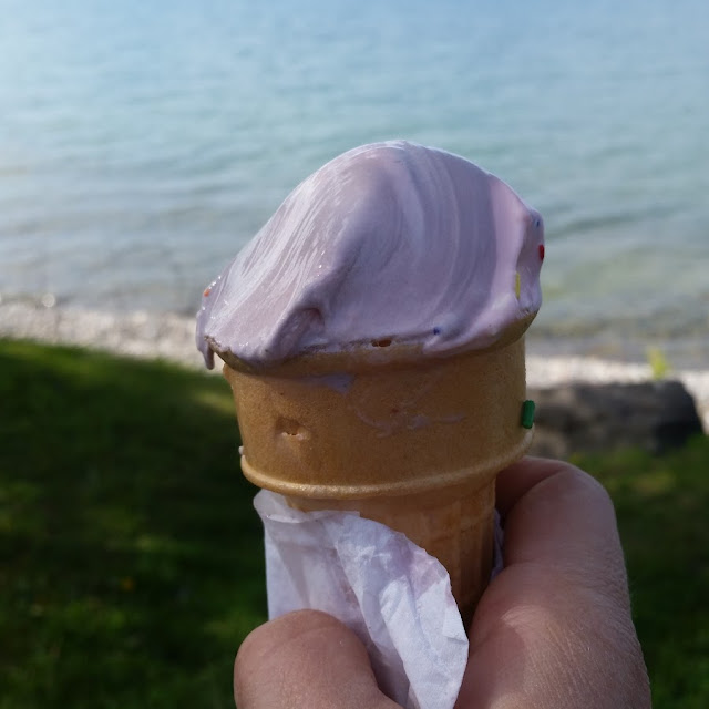 Strawberry Black Raspberry Twist