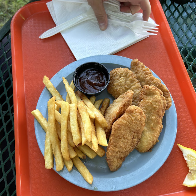 Chicken Fingers