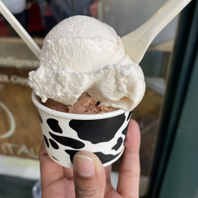 Panna Cotta Icecream