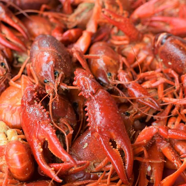 Seafood Boil