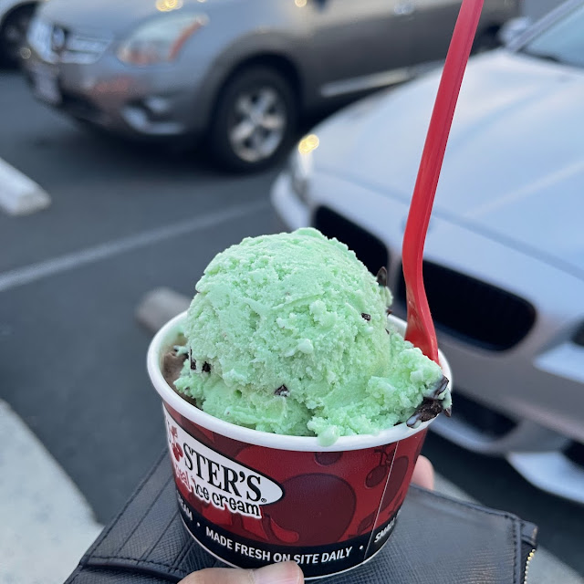 Mint Chocolate Chip