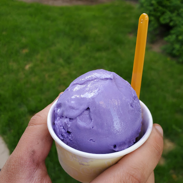 Hard Serve Ice Cream
