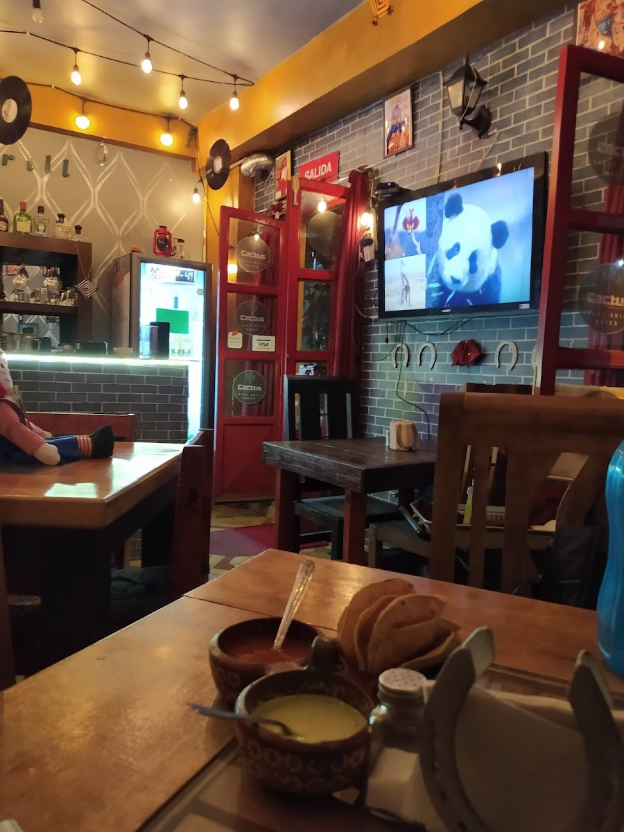 Cactus Tacos & Grill