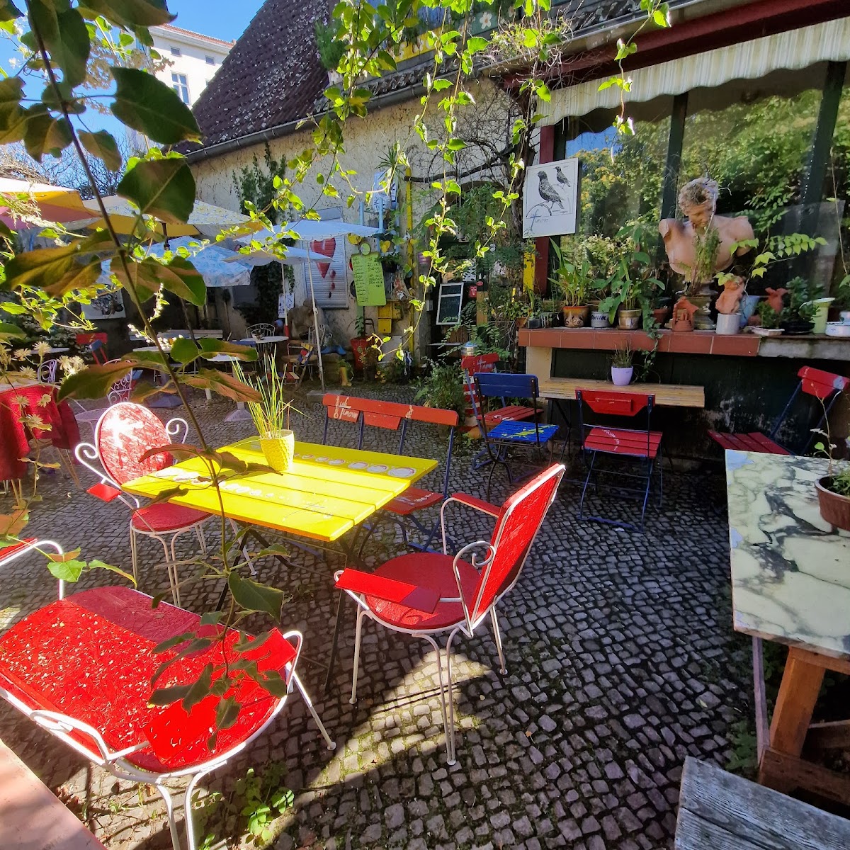 Cafe Finovo