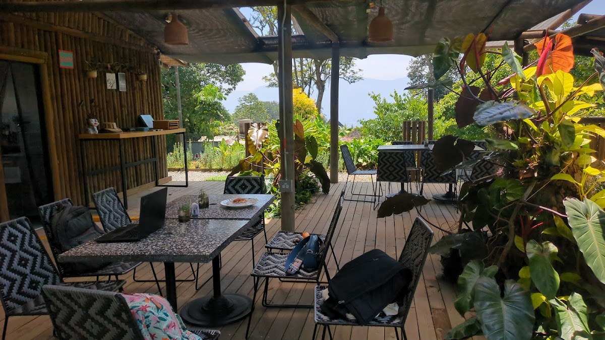 Café Juguemos en el Bosque