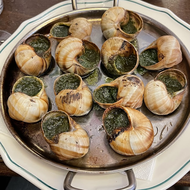 Schnecken