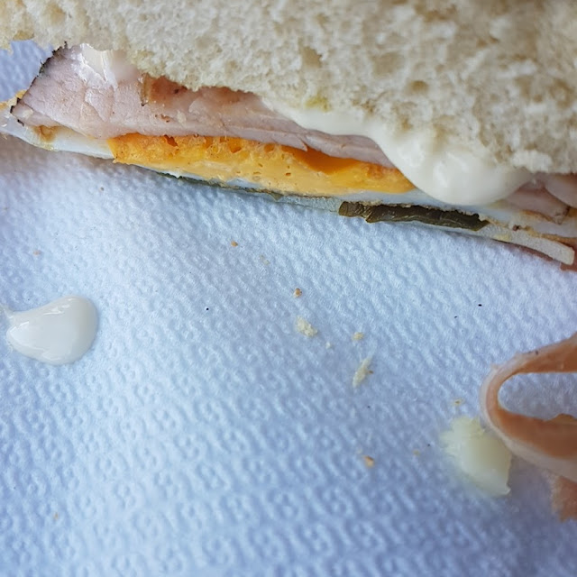 Especial de la Casa Pitufo