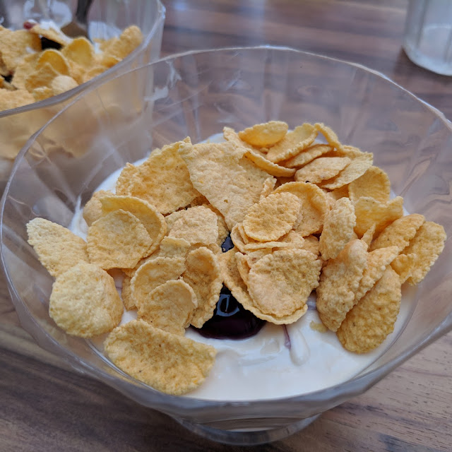 Homemade Yogurt Dessert