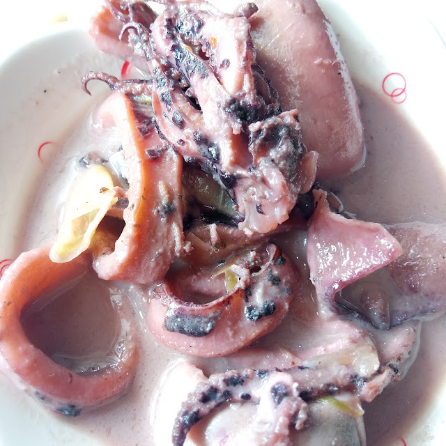Squid