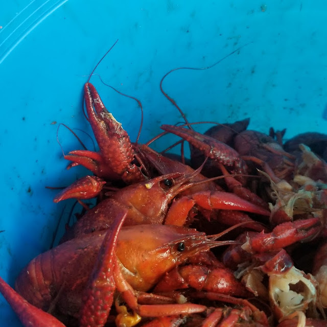AYCE Crawfish