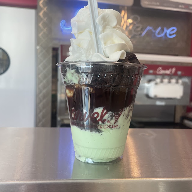 Mint Chocolate Chip Sundae Dasher