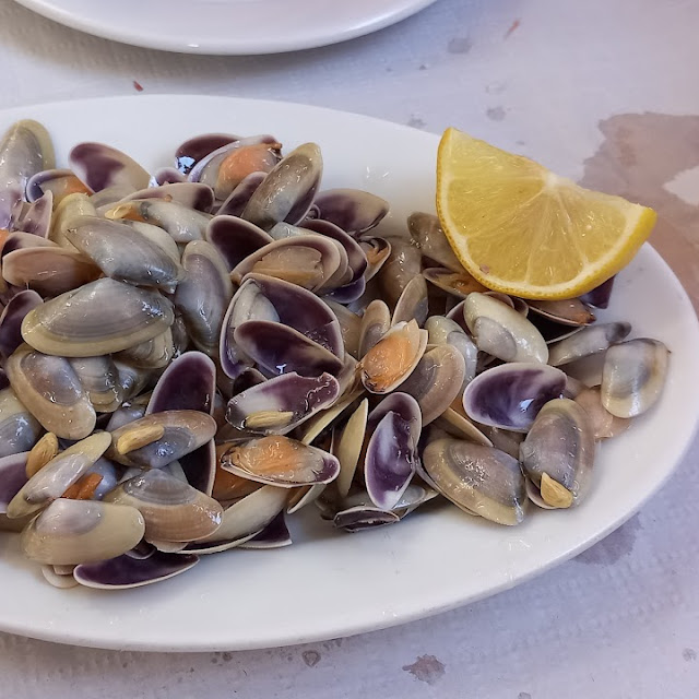 Coquinas Plancha