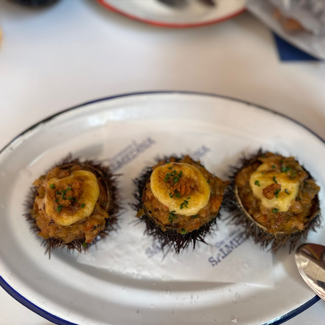 Sea Urchin