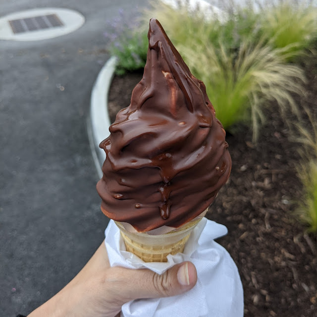 Vegan Chocolate with Chocolate Dip