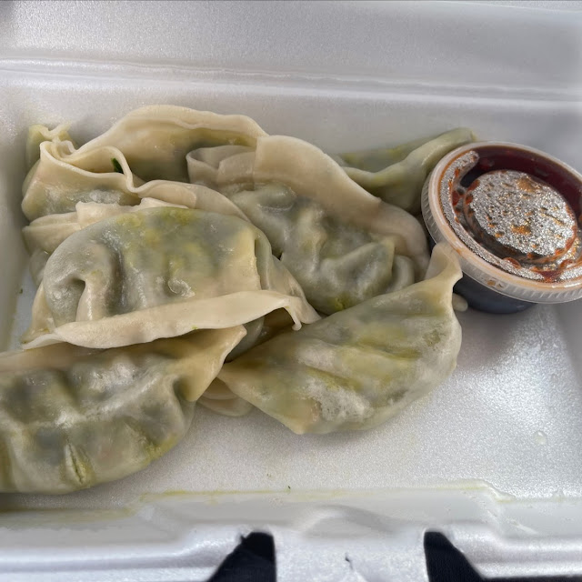 Fried or Steamed Veg Dumpling 8