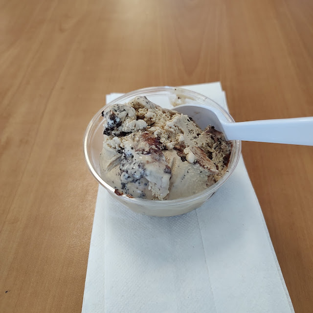 Coffee Chip Ice Cream