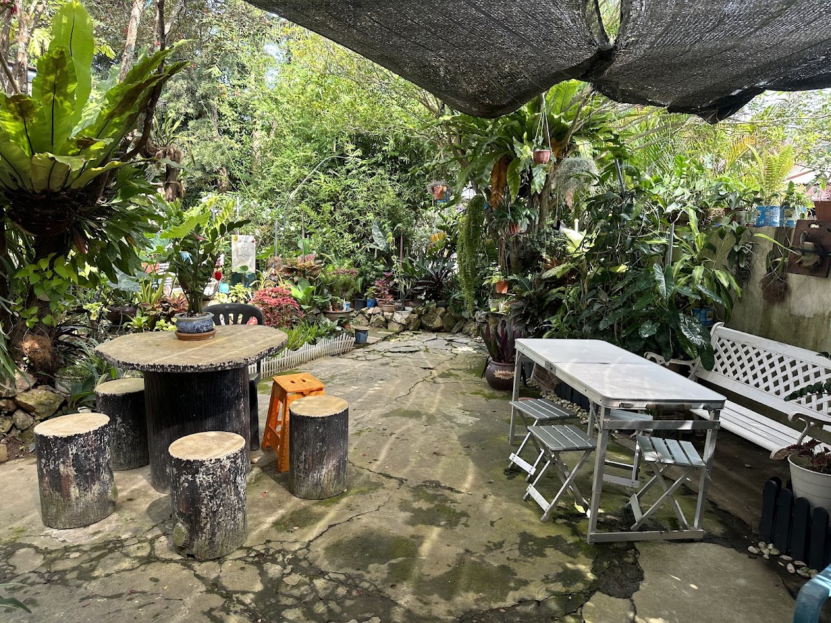 Cindy Garden