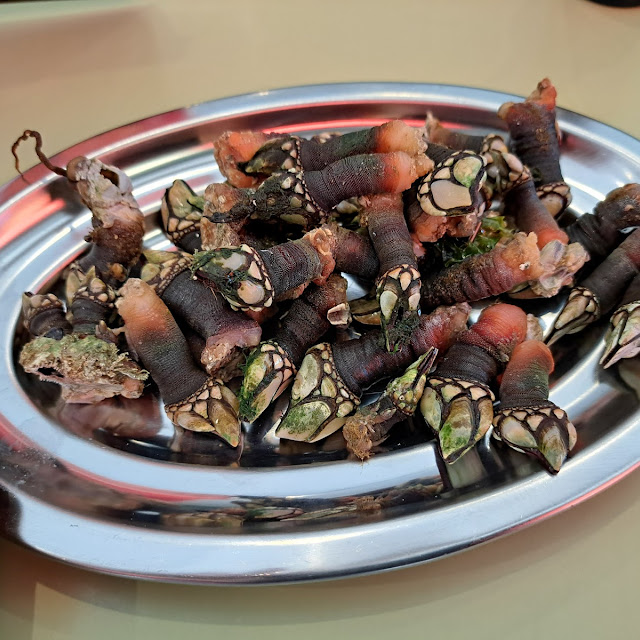 Percebes
