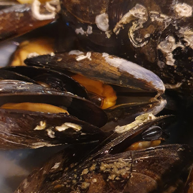 Mejillones Al Vapor