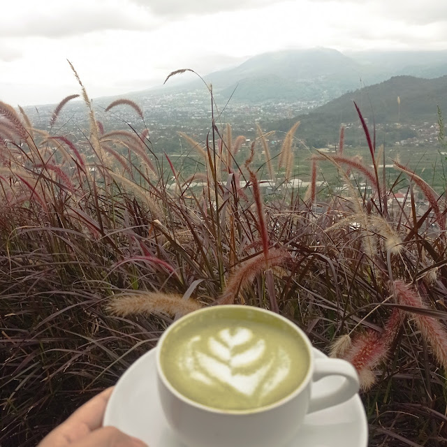 Matcha Latte