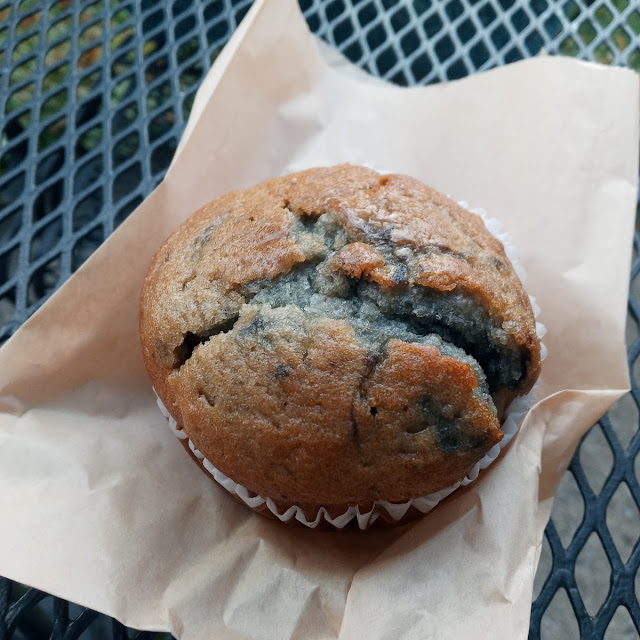 Blueberry Muffin