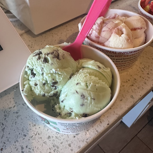 Mint Chocolate Chip