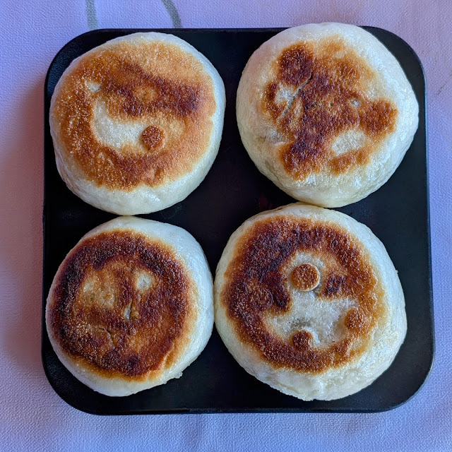 Shanghai Pan Fried Dumplings