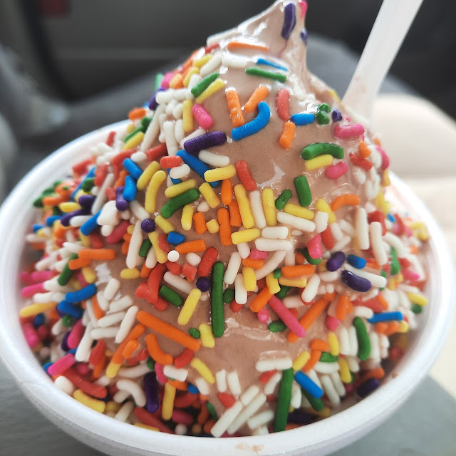 Chocolate Ice Cream with Rainbow Sprinkles