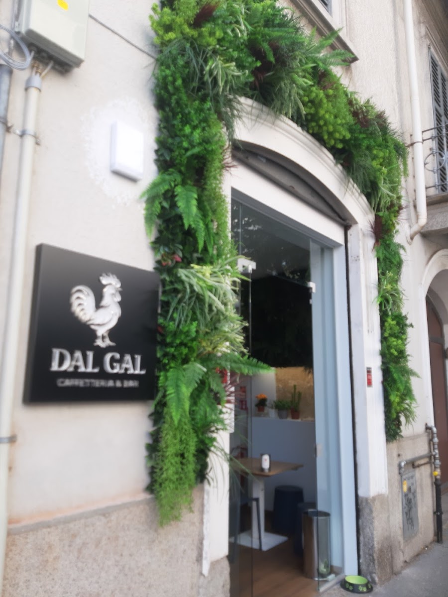 Dal Gal