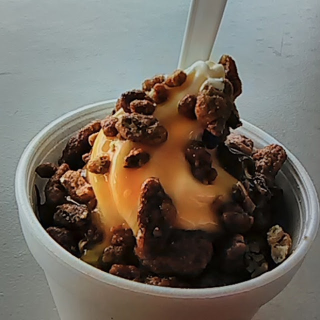 Turtle Sundae