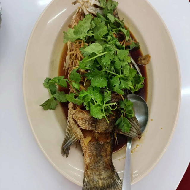 清蒸龙虎班 Steam Dragon Tiger Grouper