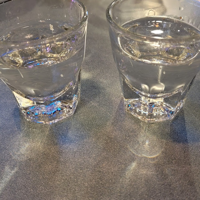 Patron