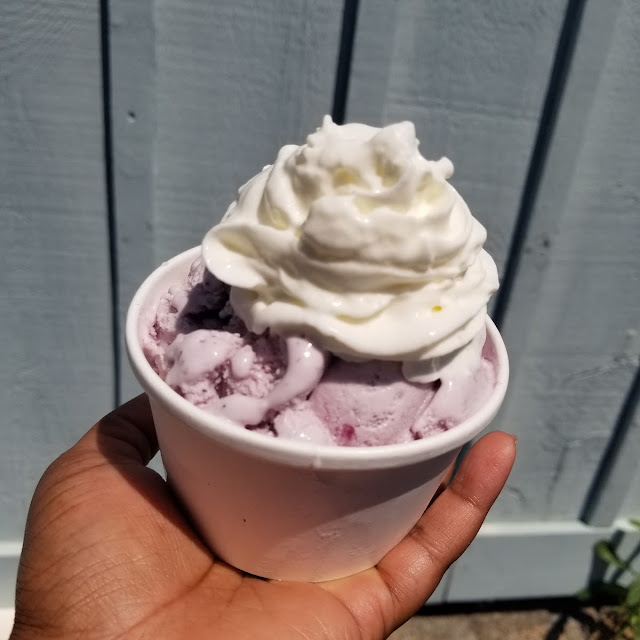 Blueberry Ice Cream