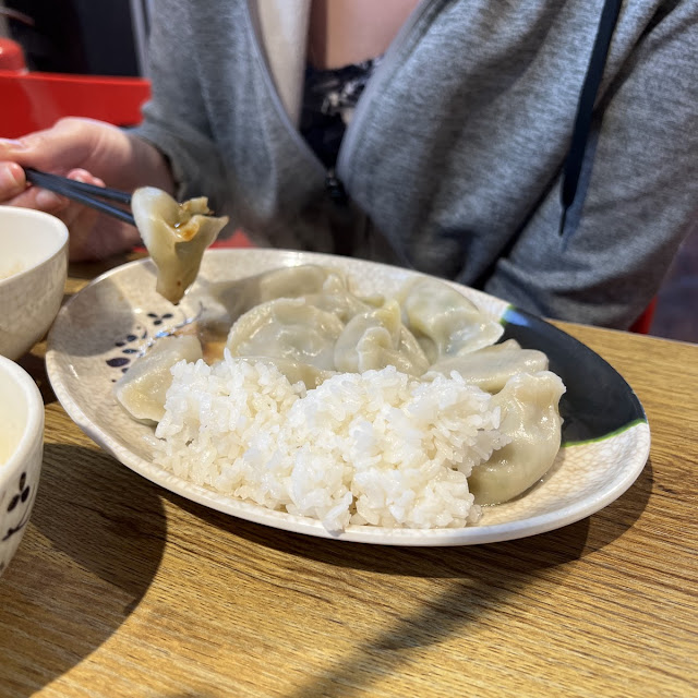 Vegetarian Dumplings