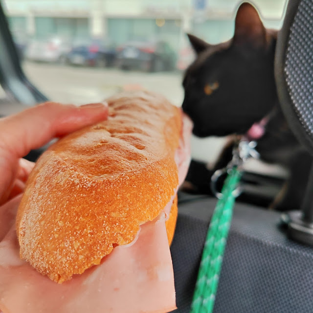 Panino