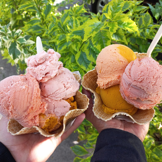 Helados de Calabaza Camote Ponche de Frutas Tejocote Y Cempasúchil
