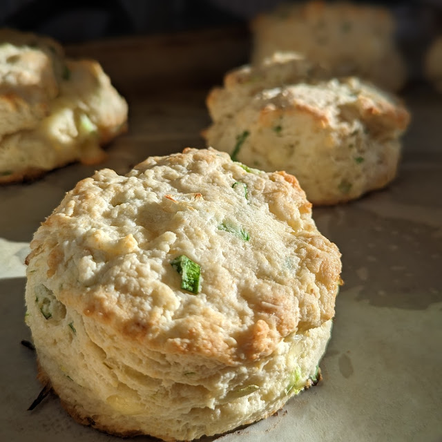 Scone